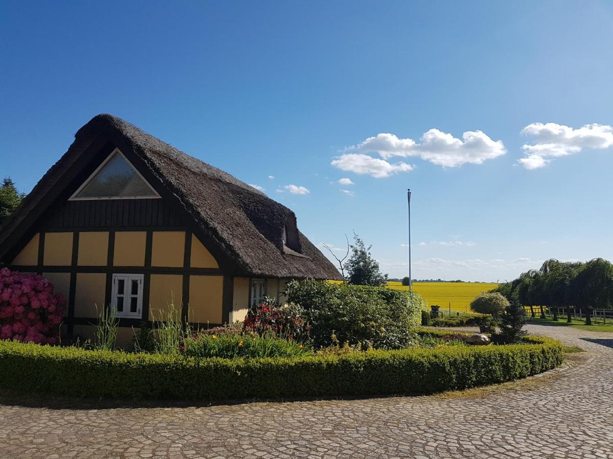 Zara'S B&B Horsens Buitenkant foto