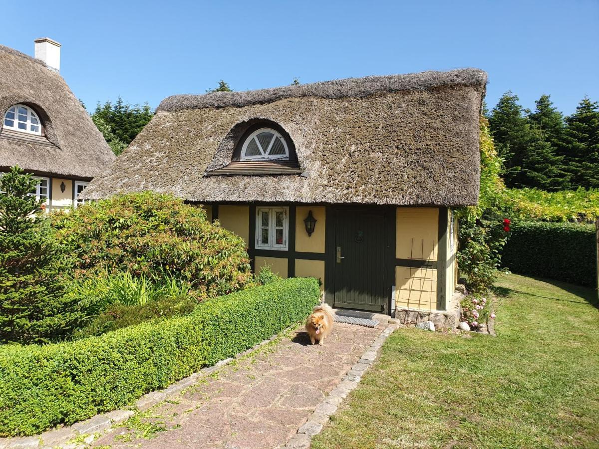 Zara'S B&B Horsens Buitenkant foto
